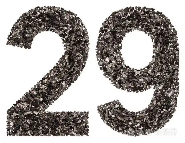 阿拉伯数字29二十九从黑色的天然木炭我