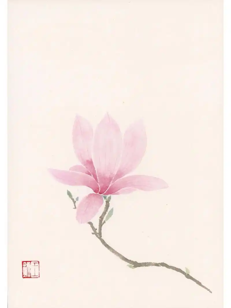 没骨画 | 玉兰花(二) 原画:  	 上次尝试了白色