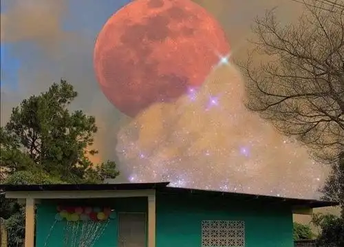 抖音唯美伤感的爱情句子 抖音关于感情的句子