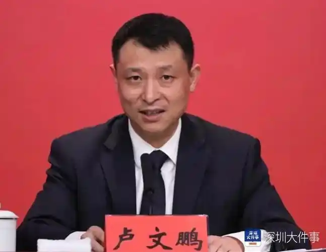 卢文鹏已任深圳市政府党组成员|副部长|深圳市委|安徽省委书记_网易