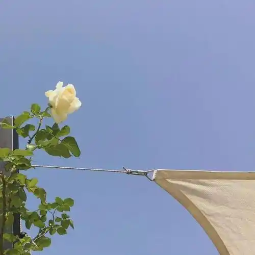 巨高级的朋友圈背景图_头像_微信_壁纸