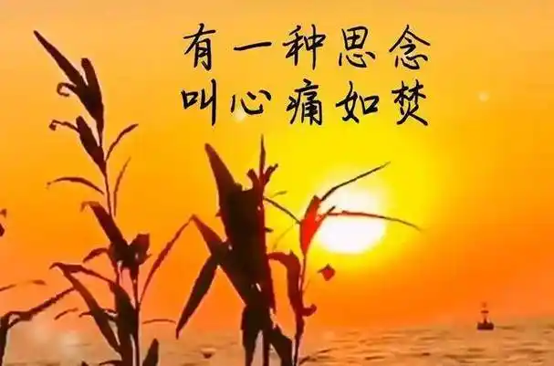 思念去世爱人的诗句子_思念远方爱人的诗句_思念爱人的暖心句子