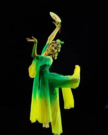 请问这张图片是什么舞蹈?有无视频?