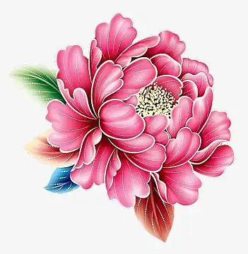 牡丹花装饰画