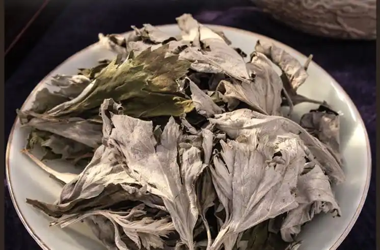 干艾叶艾叶草散装特级泡脚婴儿宝宝家用泡澡袋装中药500g