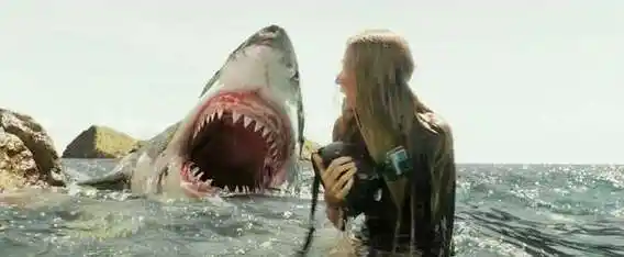 《鲨滩》很吓人,但鲨鱼为什么袭击人你知道么?