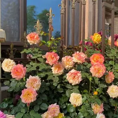 意境森系治愈系背景图别轻蔑少年时期感动过的东西