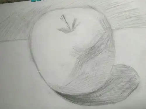 仇雯婷的苹果素描