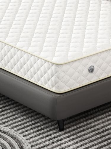 香港席梦思床垫软硬两用弹簧椰棕硬垫护脊椎家用卧室厚20cm经济型