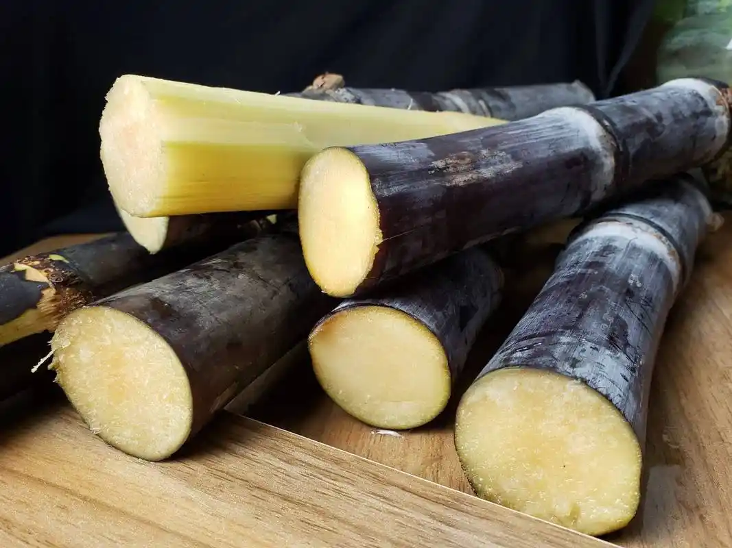 黑皮甘蔗的功效与作用可能不知道什么是甘蔗