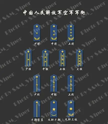 士兵的军衔,都在图上了,其他的就是军官的了