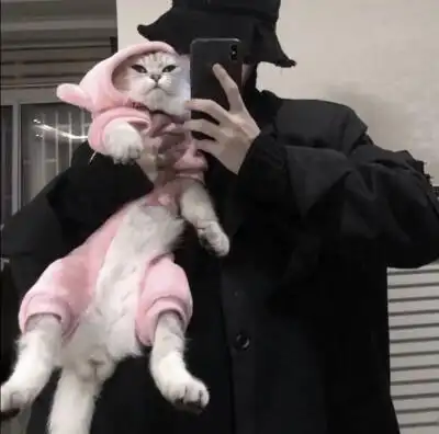 做你怀中猫 男头 男生头像 二转注明 言妩