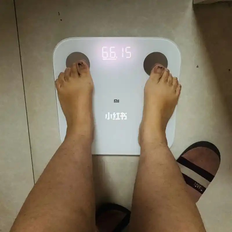 15自律打卡【11月目标65kg】 7815今晨体重:66.