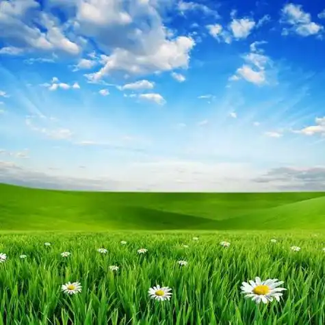 23:17:012022年最火微信头像,一看就舒心的图片做微信头像才是最好的