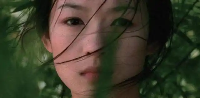 三重门是哪三重,三重门的含义(幸福如她也曾因"三重门"事件落泪)