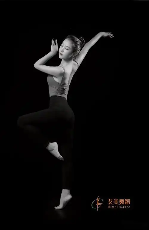 艾美舞蹈--教科书模式教学"中国舞手臂的基本姿态"_动作示范