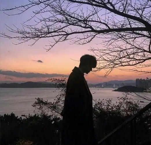 男生头像海边夕阳遮脸