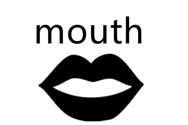 5,第三人称单数:mouths  口4,现在分词:mouthing