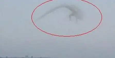 村民修路挖出千年真龙