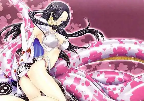 海贼王本子大全