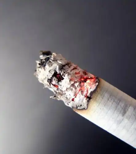 1分钟 |消防实验室:烟头的威力有多大?