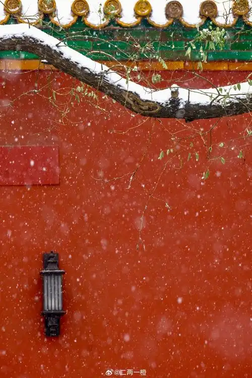 #故宫雪景##春节摄影大赛##北京暴雪#