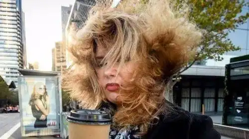 大幅降温,110km/h强风还有降雨,猫本这周末极地寒流入侵,小伙伴们注意