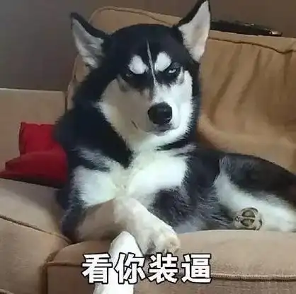 哈士奇与蘑菇头和熊猫人表情包