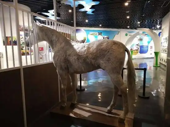 它是一代名驹更是一代传奇!一匹种公马的功勋故事