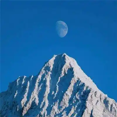 自带好运头像 给女人带来好运的头像2020 - 微信头像 - 潮人个性网