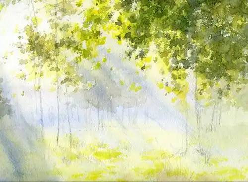 水彩绘之阳光树林