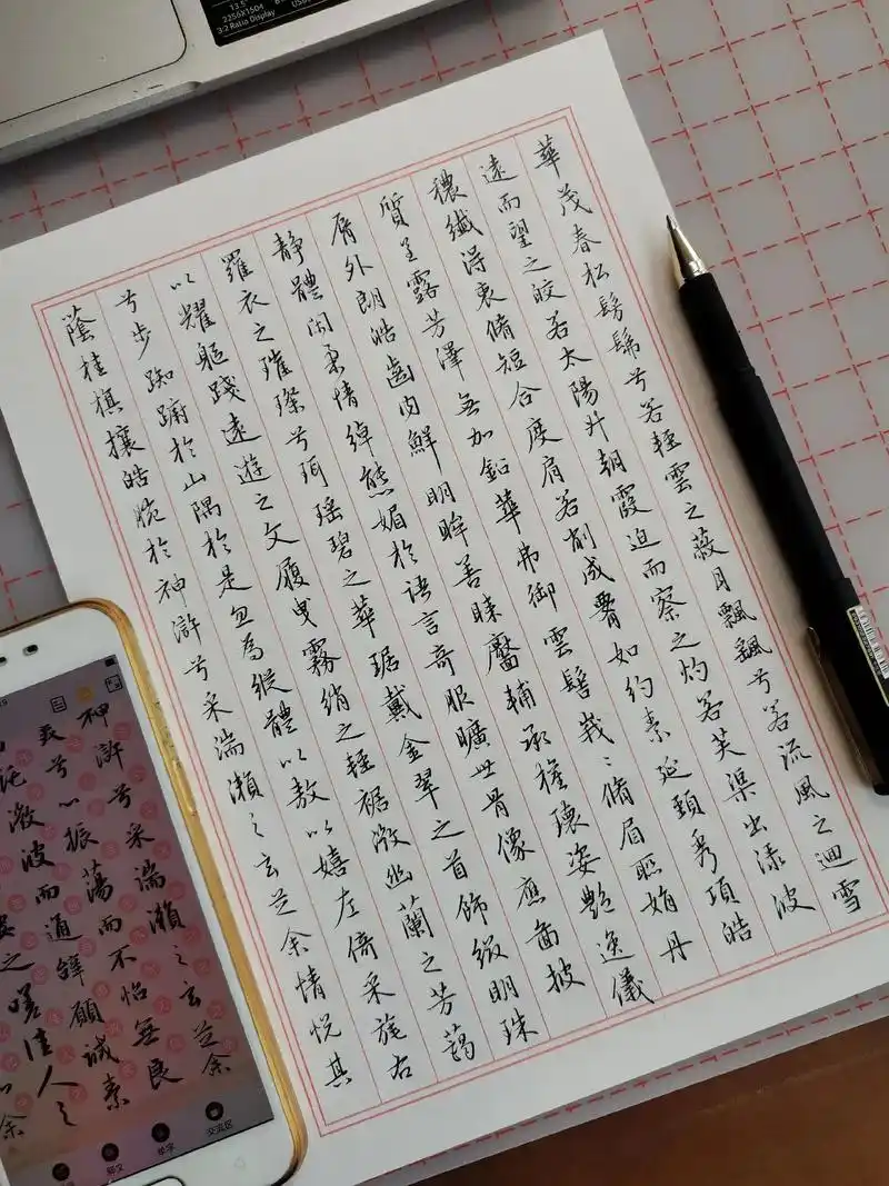 硬笔行书|赵孟頫洛神赋～p2.#写字是一种生活 #硬笔书法  - 抖音