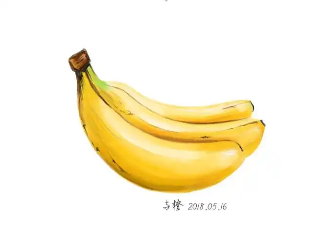 用ipad画香蕉|插画|创作习作|与橙 - 原创作品 - 站酷 (zcool)