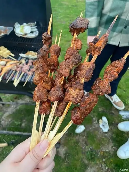 逍客伴我行,户外烧烤乐无边