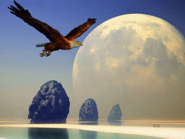 374_280gif 动态图 动图