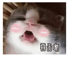 要亲亲要抱抱还要举高高