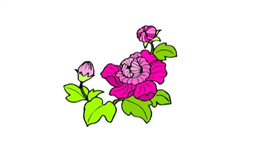 芙蓉花简笔画手绘