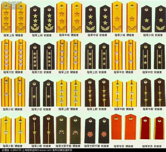 纪念开国将帅全军官兵55式军衔制60周年(组图)