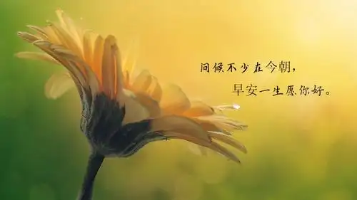 早安情感心语,高清壁纸图片,非主流-回车桌面