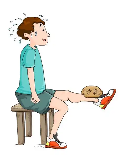 考虑到骨骼和韧带无法直接进行锻炼,故锻炼重心应放在膝关节的肌肉上