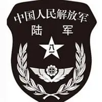 中国人民解放军陆军臂章头像_微信头像图片大全