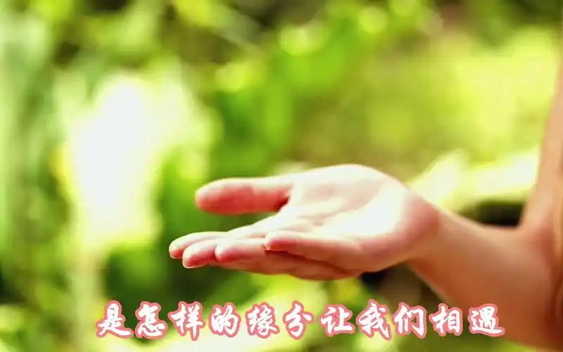 【黄霄云】《缘启》 是怎样的缘分让我们相遇 是怎样的际遇让我们走近