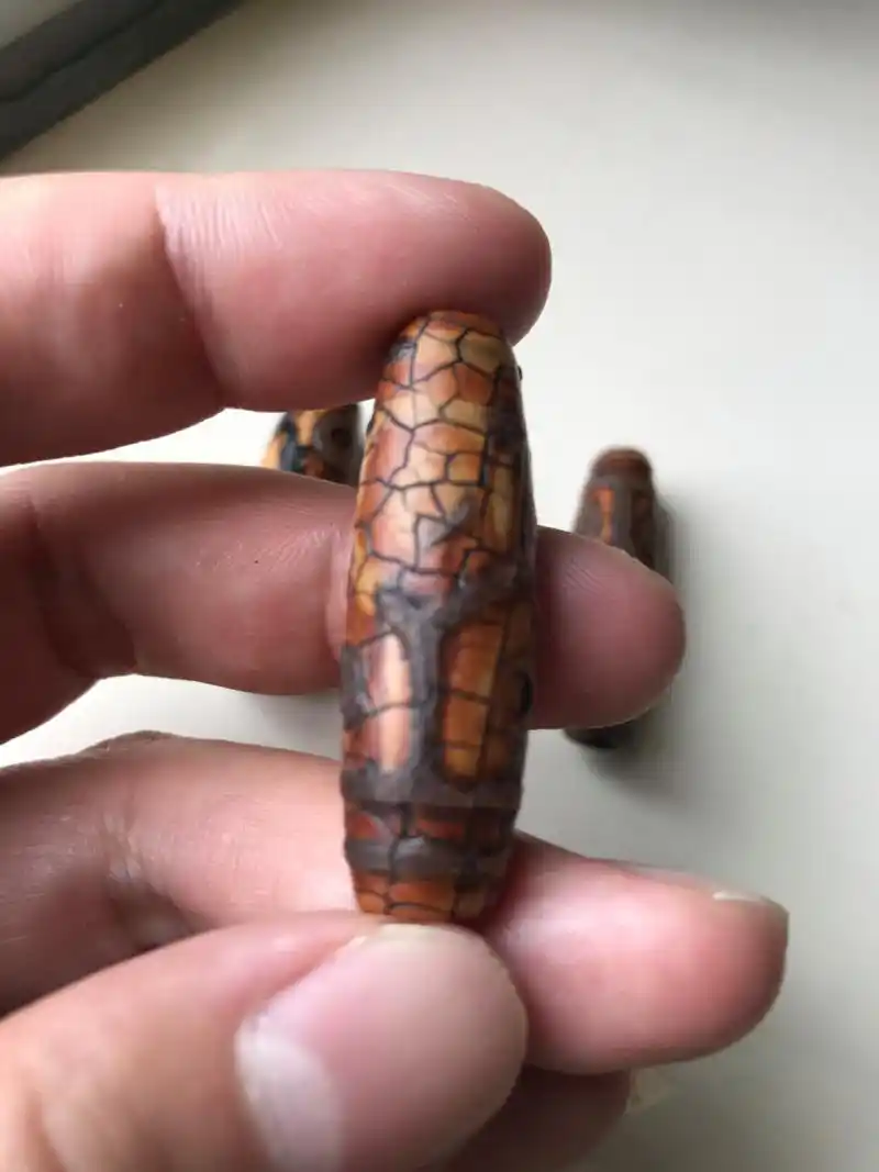 三千年前的97火供炸裂天珠 最早的天珠是由海螺化石打磨而成的法螺