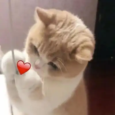 头给你打烂表情包