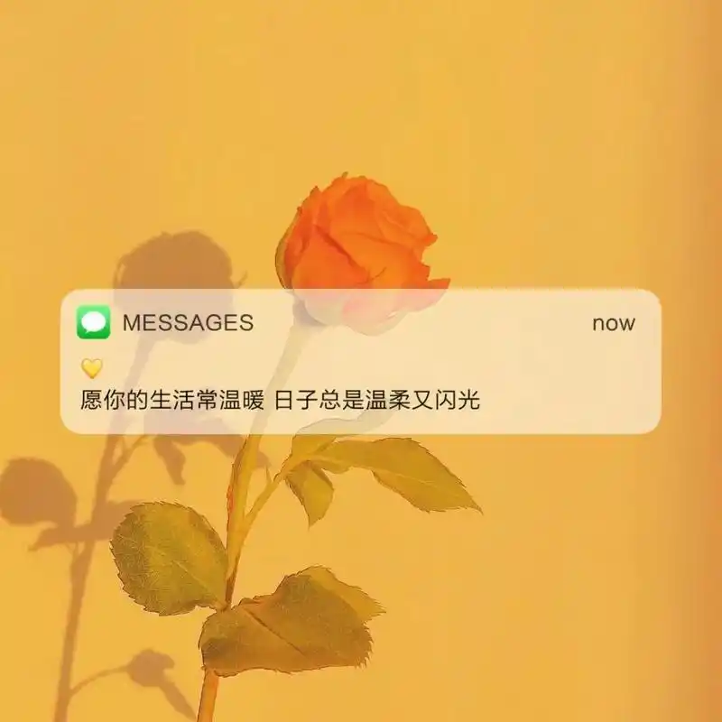 微信状态朋友圈文案句子文艺背景图