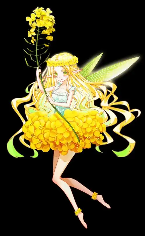 油菜花精灵|插画|艺术插画|有点奇怪的cc - 原创作品 - 站酷 (zcool)