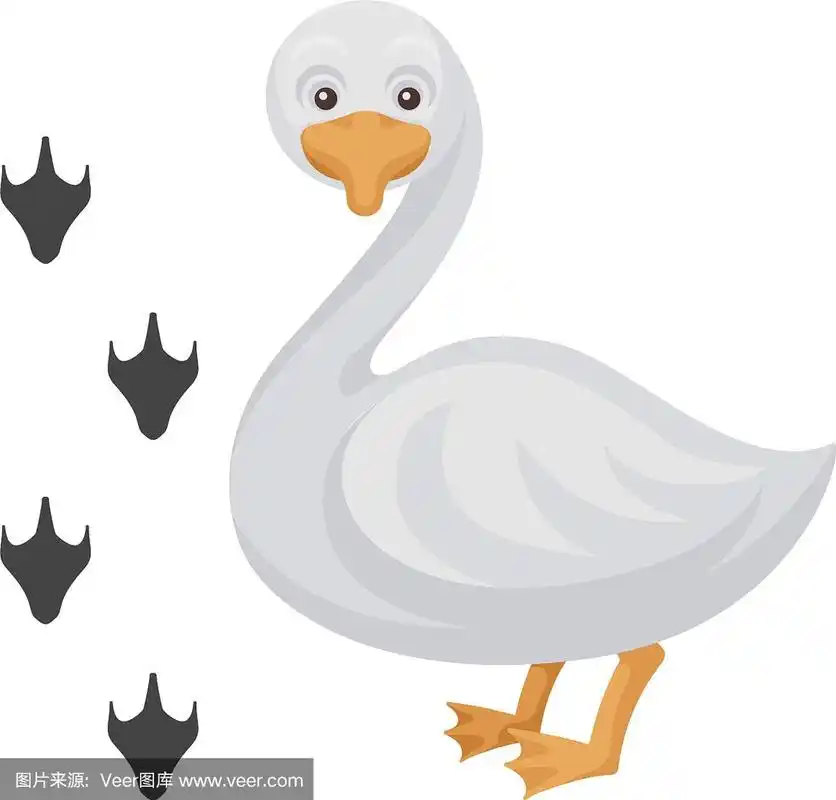 卡通形象的有趣的鸭子和他的脚印