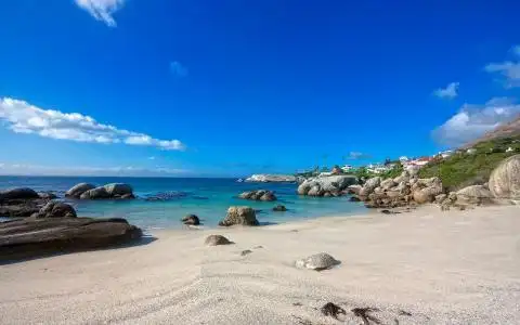 冬季壁纸和背景800x600分辨率查看