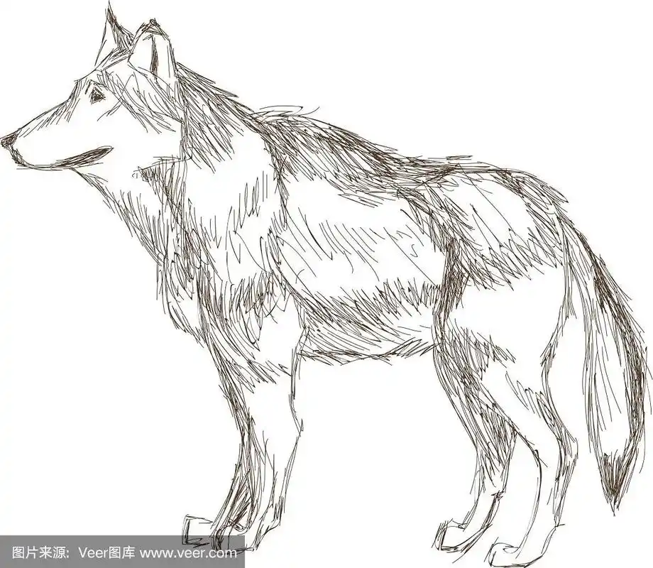 狼侧视素描图标