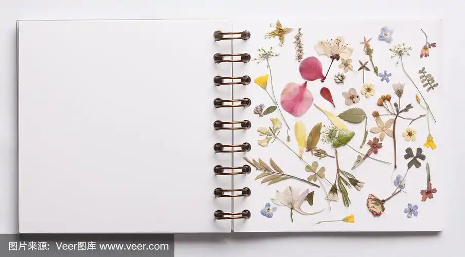带花的空白书页